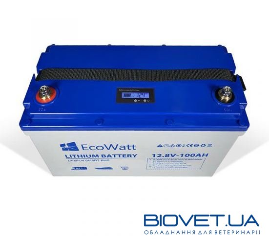 Аккумуляторная батарея литиевая Ecowatt LED LiFePO4 12,8 В 100Ah