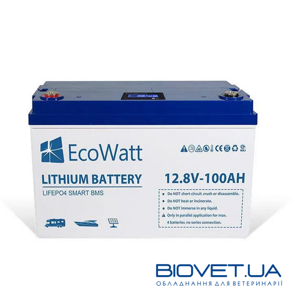 Аккумуляторная батарея литиевая Ecowatt LED LiFePO4 12,8 В 100Ah