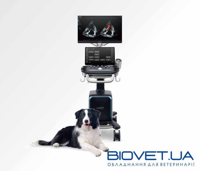 Vetus 80 — УЗИ-сканер для ветеринарии с цветным доплером, Mindray