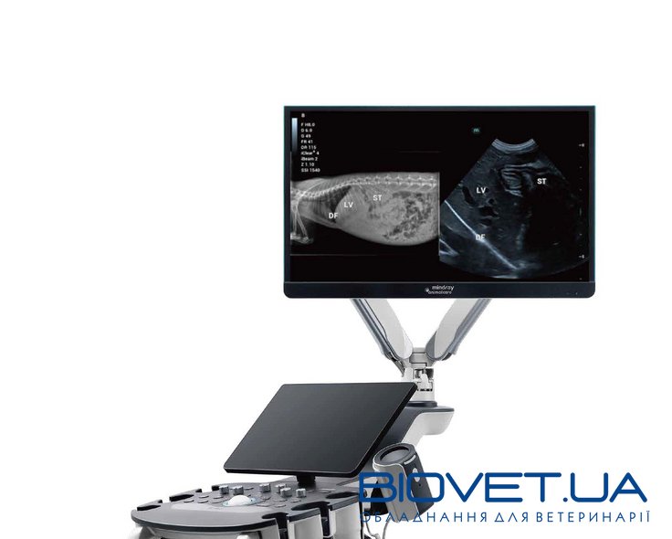 Vetus 80 — УЗД-сканер для ветеринарії з кольоровим доплером, Mindray