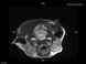 Ветеринарный томограф Vet-MR 23 из 25