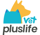 Pluslife