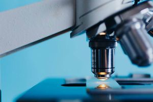 Інноваційні технології ветеринарної лабораторної діагностики: роль мікроскопів і ПЛР аналізаторів  з