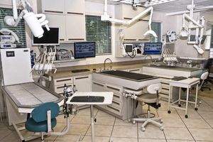 Обладнання стоматологічного кабінету: опис для ветеринарної клініки  з