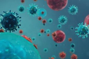 Ветеринарная микробиология: значение контроля микробной флоры и иммунитета  из