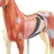 Анатомическая модель лошади для акупунктуры 4 из 4