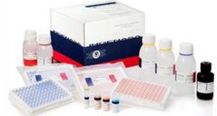 Ingezim ADV Total. Тест-система для серодіагностики специфічних загальних антитіл до вірусу хвороби Ауєски
