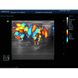 Ультразвуковая цветная стационарная диагностическая система Mindray DC-8 10 из 10