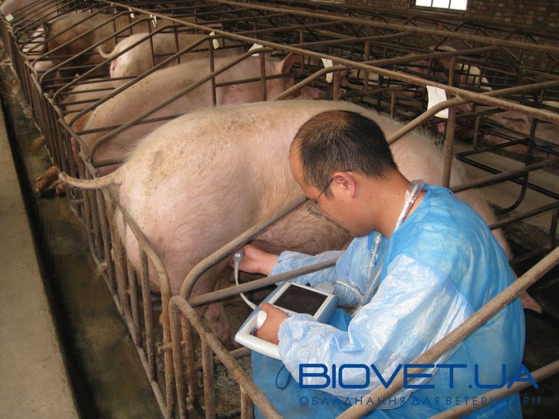 Ультразвуковий сканер для скотарства KX5100, Kaixin