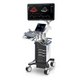 Vetus 8 УЗИ-сканер для ветеринарии с цветным допплером, Mindray 1 из 17