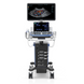 Vetus 8 УЗИ-сканер для ветеринарии с цветным допплером, Mindray 3 из 17