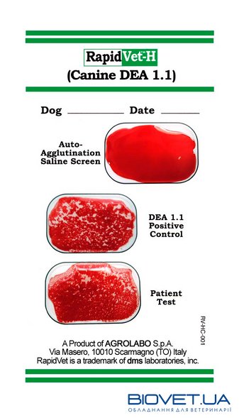 Тести для визначення групи крові у собак RapidVet-H Canine