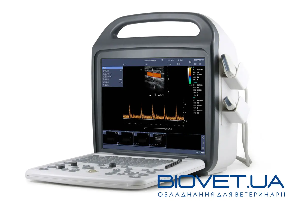 УЗИ аппарат для лошадей