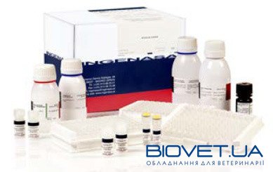 Тест-система для серодіагностики специфічних антитіл до B.ovis в сироватці крові методом ІФА(непрямий варіант)