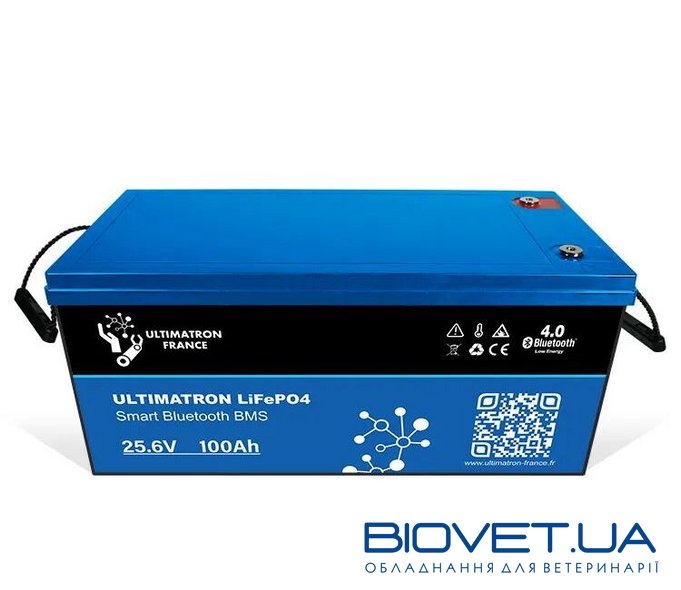 Акумуляторна літієва батарея 25,6 В 100Ah LiFePO4 Smart BMS з Bluetooth