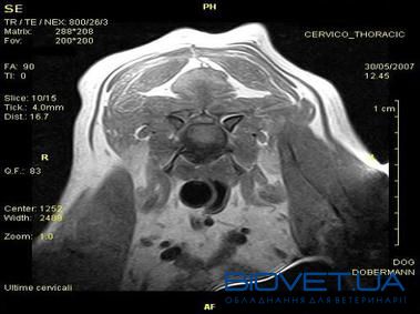 Ветеринарный томограф Vet-MR