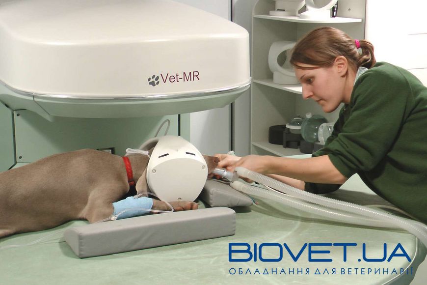 Ветеринарний томограф Vet-MR