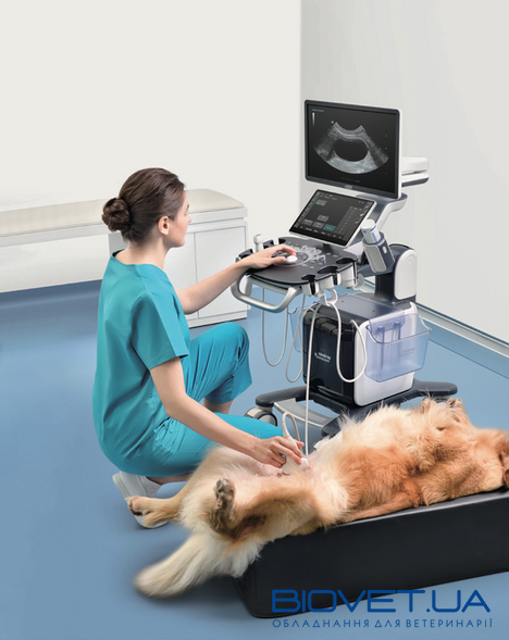 Vetus 50 — УЗИ-сканер для ветеринарии с цветным доплером, Mindray