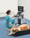 Vetus 50 — УЗИ-сканер для ветеринарии с цветным доплером, Mindray 6 из 14