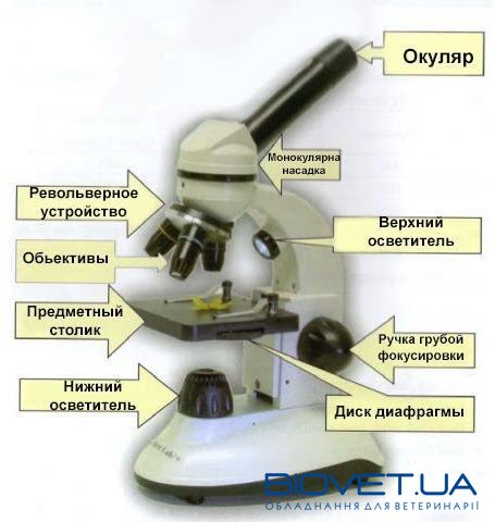 Микроскоп студенческий MyFirstLab MFL-06