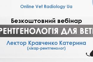 Безкоштовний вебінар "Базова рентгенологія для ветеринарів"