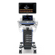 Vetus 7 УЗД-сканер для ветеринарії з кольоровим доплером, Mindray 2 з 13