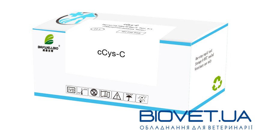 cCys-C – экспресс тест для определения цистатина C кошек
