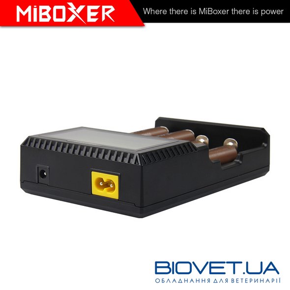 Інтелектуальний зарядний пристрій MiBoxer  C4