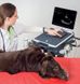 Ультразвуковий ветеринарний сканер MyLab DeltaVET 4 з 10