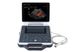 Ультразвуковий ветеринарний сканер MyLab DeltaVET 1 з 10