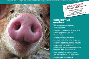 Приглашаем Вас принять участие в семинаре "Эффективное свиноводство - Биобезопасность или как уберечь стадо"?  из