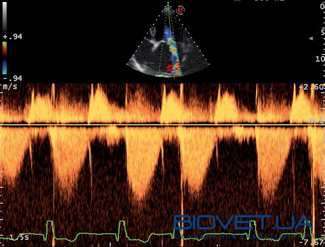 Ультразвуковой ветеринарный сканер MyLab AlphaVET
