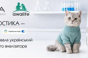 Awalife тепер українською: BIOVET.UA локалізував ПЗ для ветеринарних клінік  з