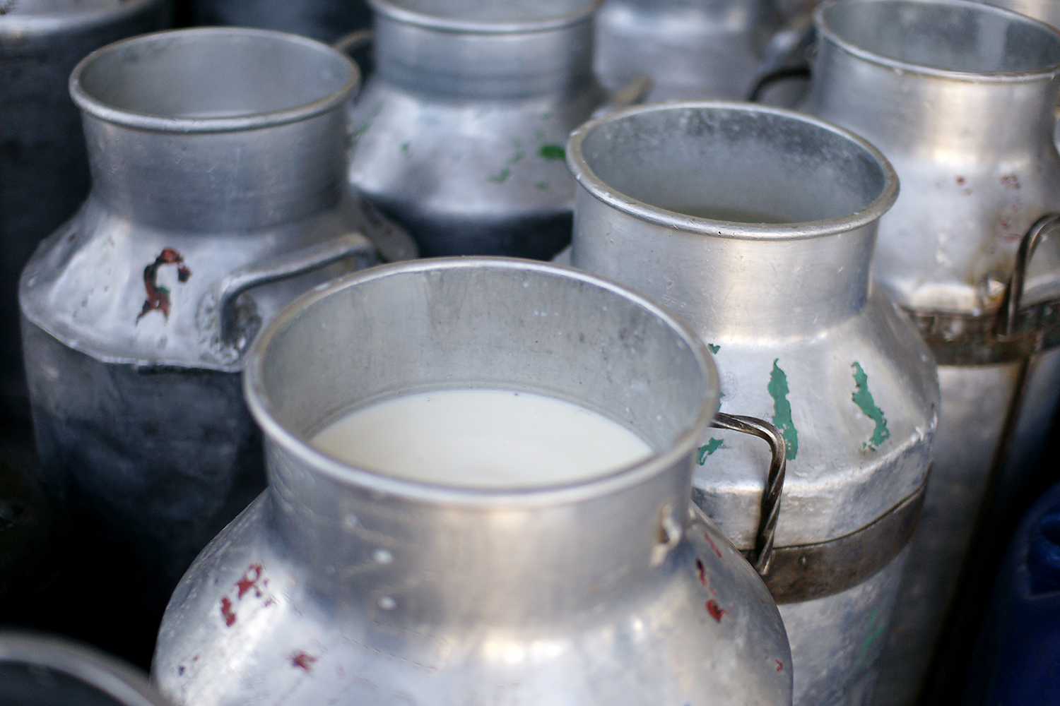 Як правильно робити аналіз молока на антибіотики?