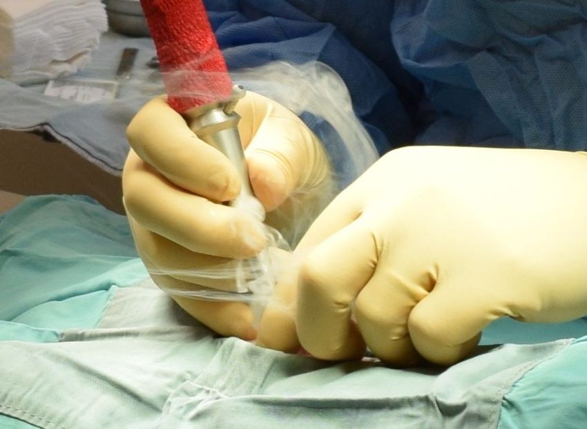 Ефективне використання лазера у ветеринарній хірургії: переваги методу