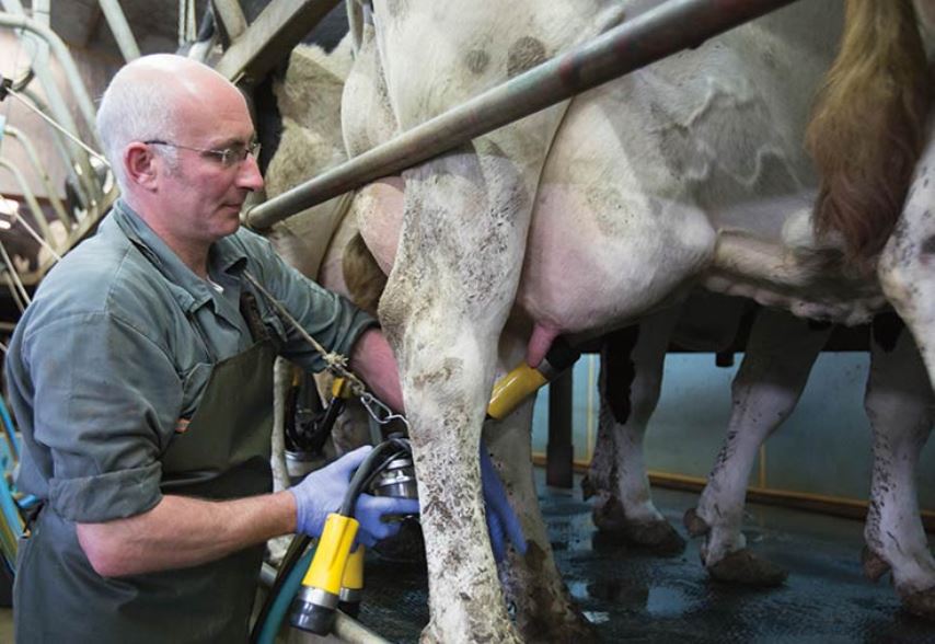 Як молокоміри та пробовідбірники покращують продуктивність тваринницького господарства