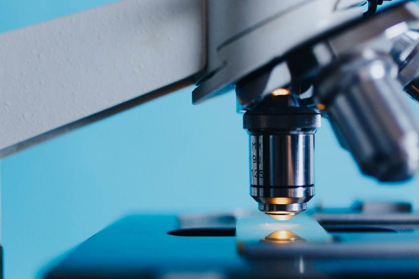 Інноваційні технології ветеринарної лабораторної діагностики: роль мікроскопів і ПЛР аналізаторів