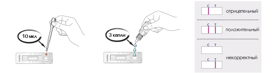 Интерпретация результатов FCoV Ag
