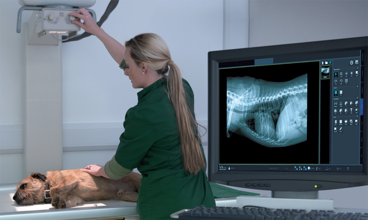 Рентген оборудование для ветеринарии