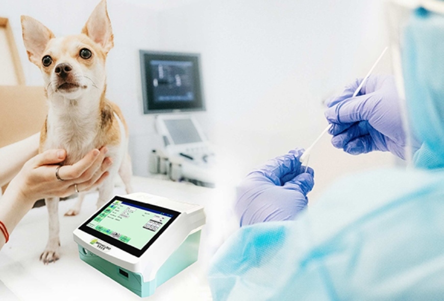Ветеринарний імунофлуоресцентний аналізатор: опис, призначення, доступні дослідження