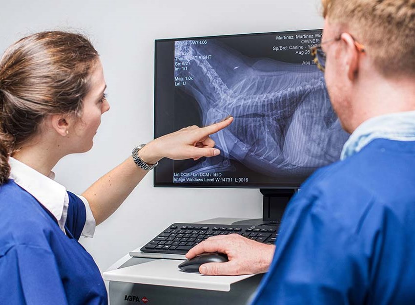 Особливості сучасного рентген-обладнання у ветеринарії