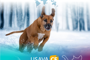 Компания Биовет на USAVA CE 2022 ФОРУМ по ветеринарной медицине  из 