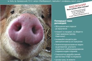 Приглашаем Вас принять участие в семинаре "Эффективное свиноводство - Биобезопасность или как уберечь стадо"?  из 