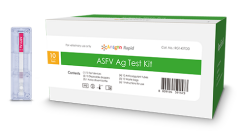 Экспресс-тест для определения африканской чумы у свиней Bionote ASFV Ag Test Kit